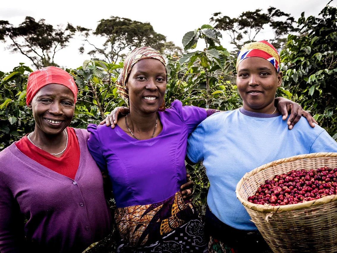 Drei Frauen mit Kopftüchern stehen auf einer Kaffeeplantage, eine hält einen Korb mit Kaffeebohnen.