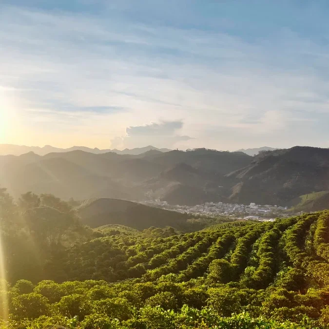 Hügelige Landschaft mit Kaffeeplantagen im Vordergrund, Bergen und einer Stadt im Hintergrund bei Sonnenaufgang.