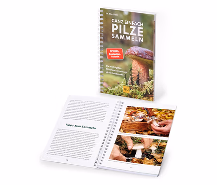 Ein aufgeschlagenes und ein stehendes Buch »Ganz einfach Pilze sammeln«. Das stehende Buch zeigt auf dem Cover einen Pilz im Moos und den Titel. Das aufgeschlagene Buch zeigt auf Seite 19 zwei Bilder von Händen beim Pilzesammeln.