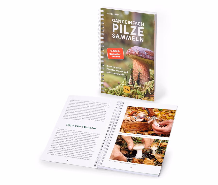Ein aufgeschlagenes und ein stehendes Buch »Ganz einfach Pilze sammeln«. Das stehende Buch zeigt auf dem Cover einen Pilz im Moos und den Titel. Das aufgeschlagene Buch zeigt auf Seite 19 zwei Bilder von Händen beim Pilzesammeln.