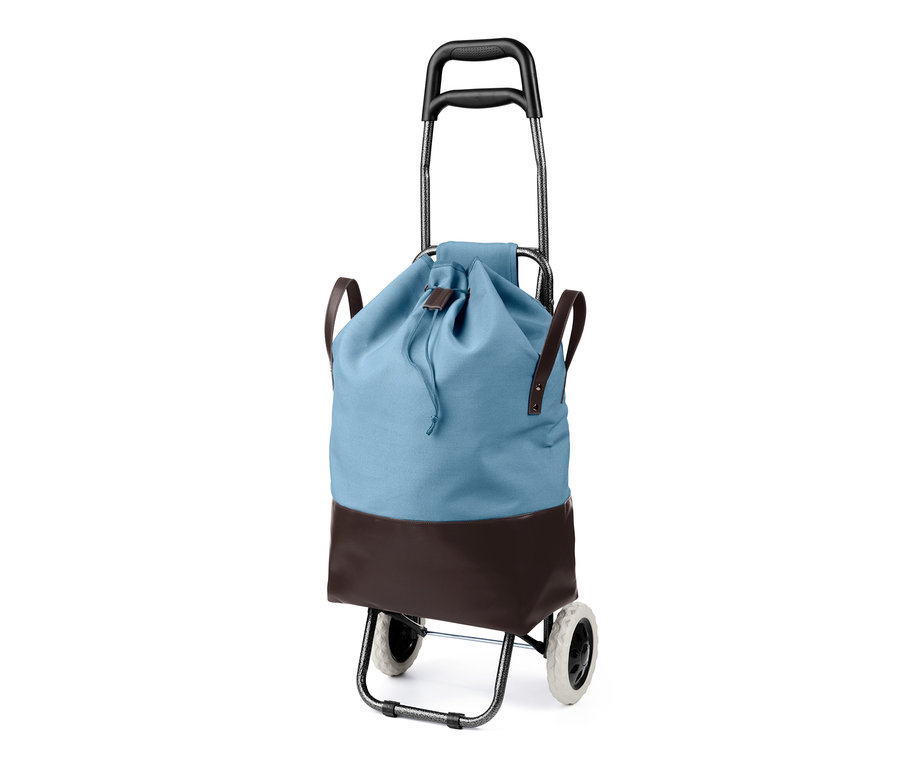 Ein blauer Einkaufstrolley.