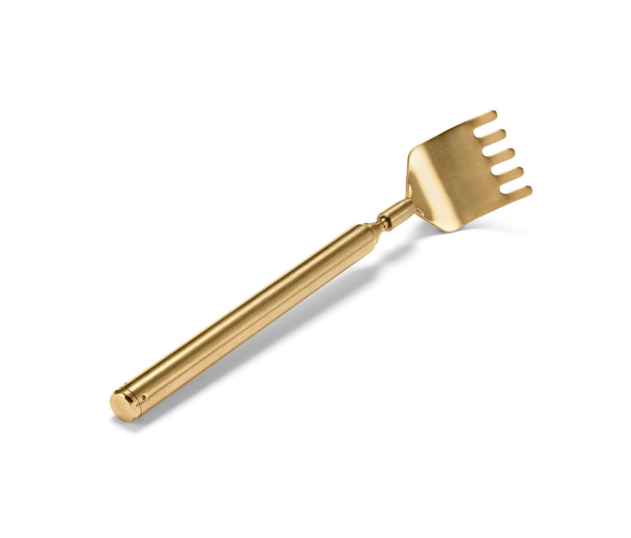 Goldener Rückenkratzer auf weißem Hintergrund.