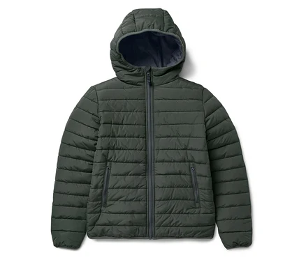 Grüne Steppjacke mit Kapuze auf weißem Hintergrund.