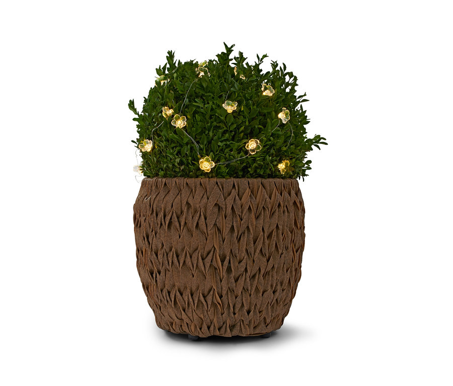 Grüne Pflanze in einem braunen Topf mit einer LED-Microlichterkette Blumen.