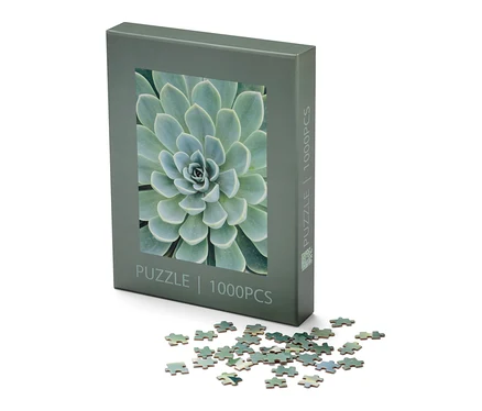 Ein Puzzle »Sukkulente«-Karton und ein paar Puzzleteile liegen auf einem weißen Hintergrund.