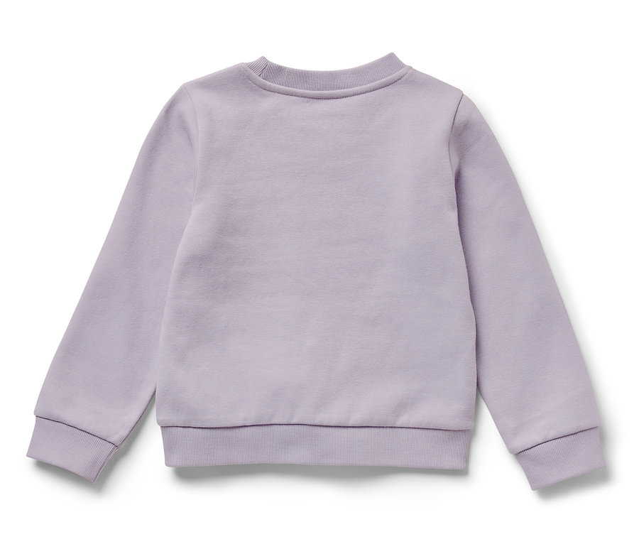 Ein lila Kinder-Sweatshirt mit angerauter Innenseite und Schwan-Motiv liegt auf einem weißen Hintergrund.