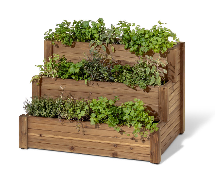 Ein hölzernes Treppenhochbeet »Tinus« mit drei Ebenen, bepflanzt mit Kräutern.