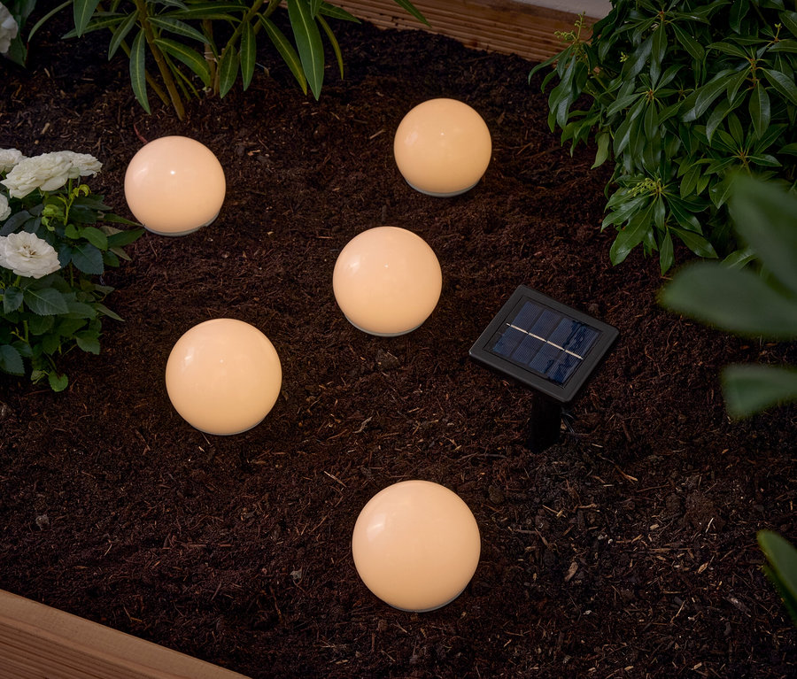 Fünf runde, leuchtende Kugelleuchten sind in einem Gartenbeet zwischen Pflanzen und Blumen platziert, zusammen mit einem kleinen Solarpanel.