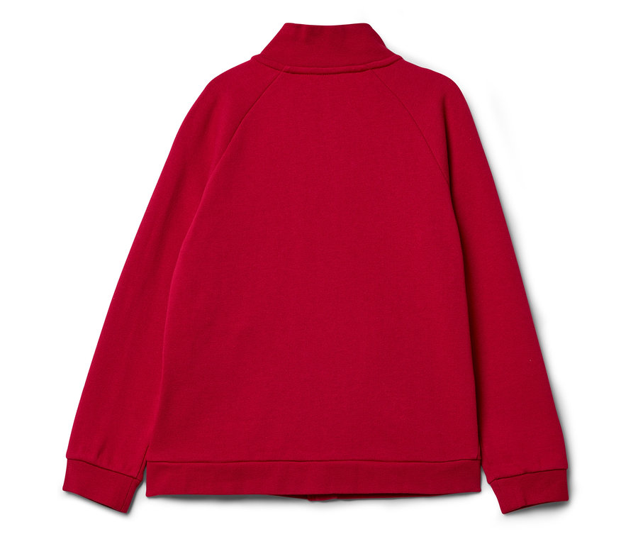 Rückansicht einer roten Sweatshirtjacke mit Stehkragen.
