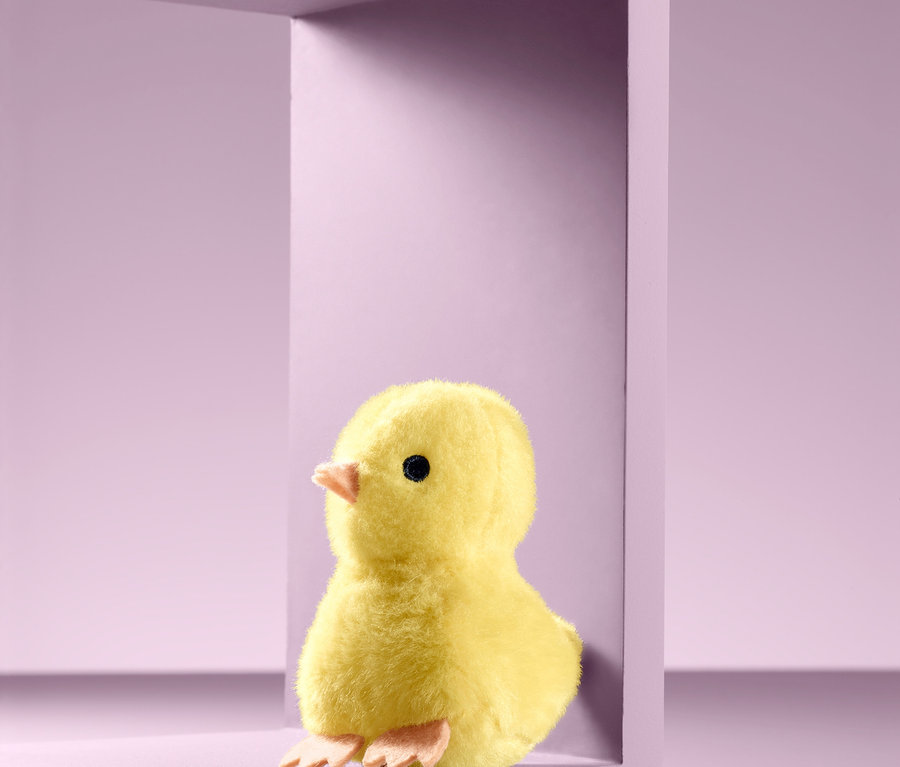 Ein Mini-Plüschküken mit Sound sitzt in einem Rahmen.