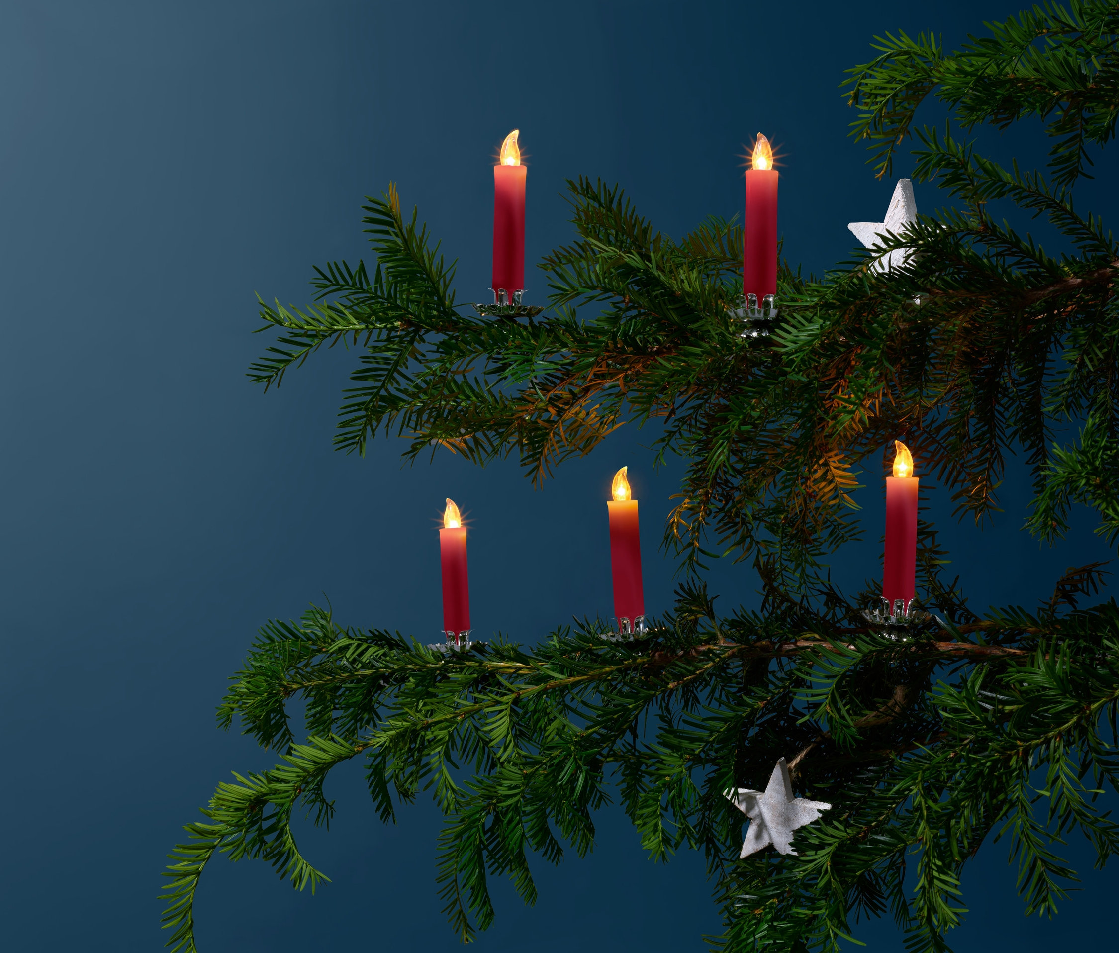 Vier LED-Weihnachtsbaumkerzen auf einem Tannenzweig.