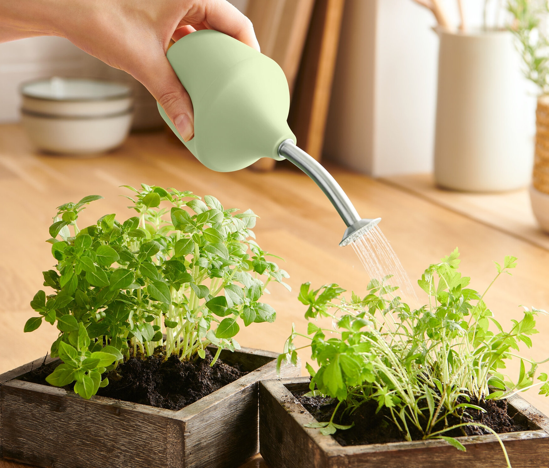 Eine Hand bewässert mit der Anzucht-Gartenbrause zwei Pflanzen in Holzkästen.
