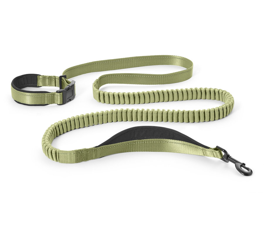 Eine grüne, längenverstellbare Hundeleine liegt auf einem weißen Hintergrund.