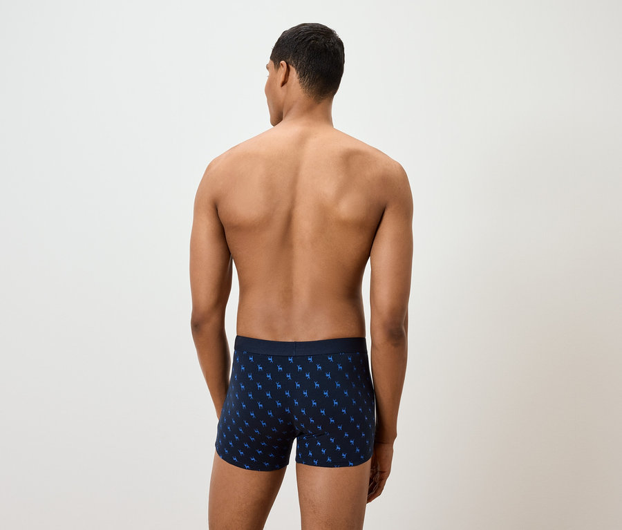 Ein Mann mit dem Rücken zur Kamera trägt bedruckte Boxershorts.