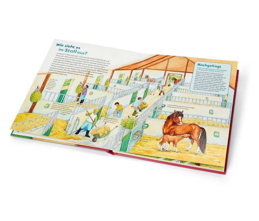 Geöffnetes Buch mit einer Illustration des Inneren eines Stalls mit Pferden und Menschen, die sich um sie kümmern.