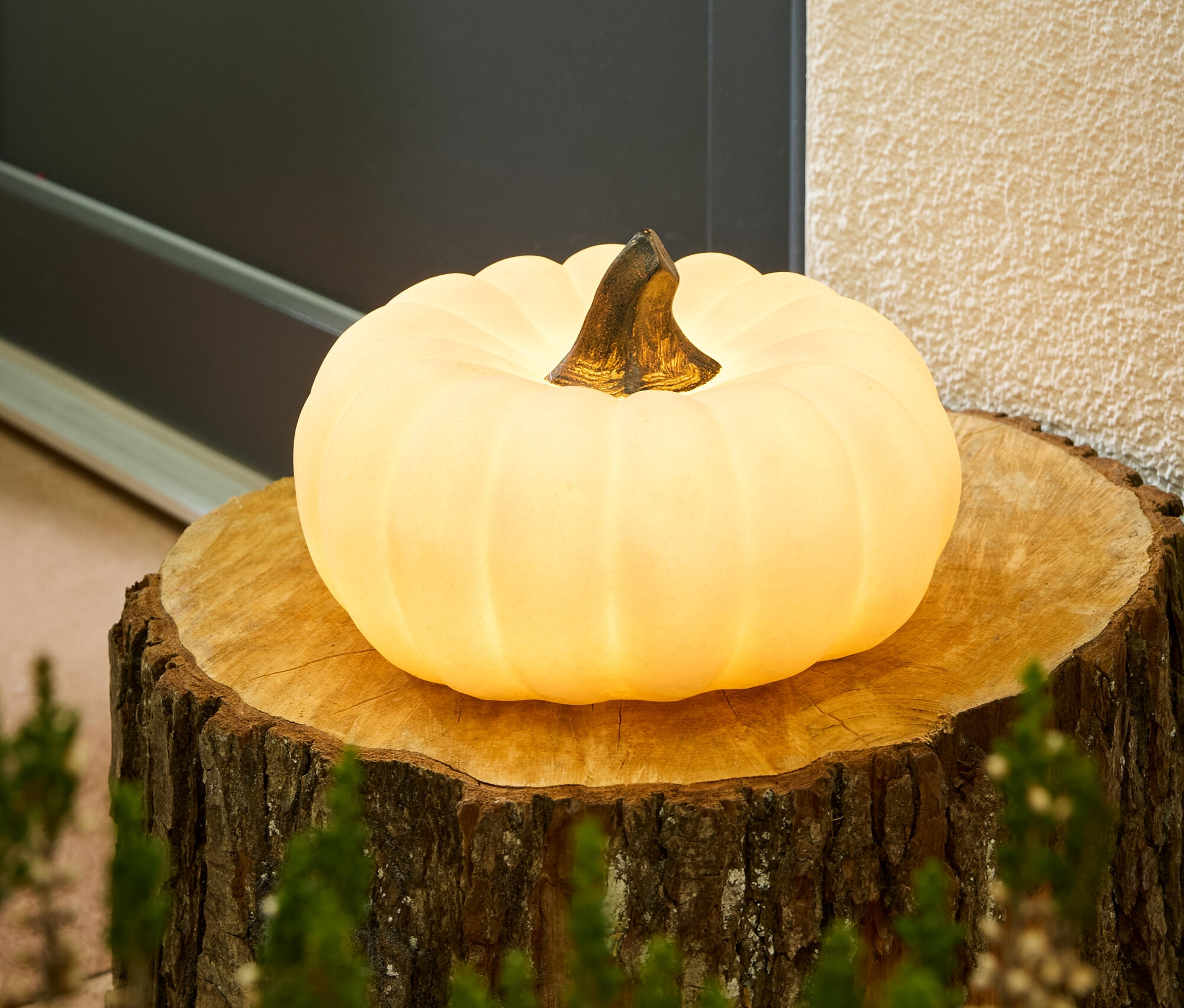Gelber Kürbis auf einem Baumstumpf.