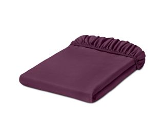 aubergine