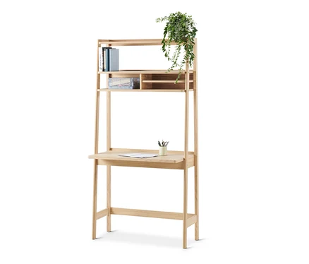 Ein Regal mit Sekretär, drei Regalböden, Büchern, einer Pflanze und einem Schreibtisch.