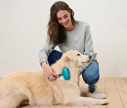 Frau bürstet einen liegenden Hund mit einer Tier-Fellbürste.