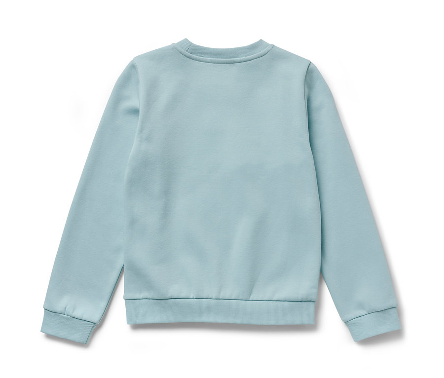 Hellblaues Kinder-Sweatshirt mit angerauter Innenseite, Drache liegt auf einem weißen Hintergrund.