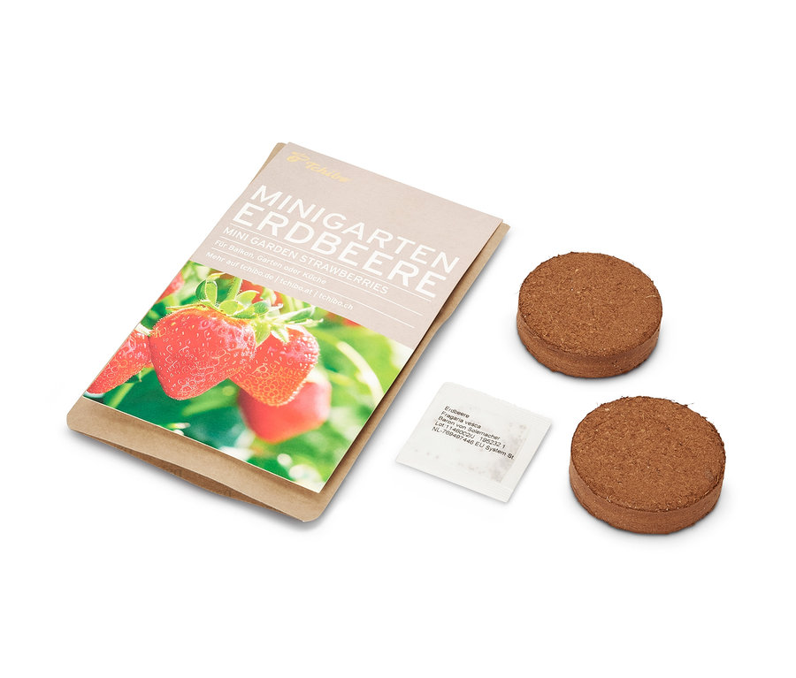 Minigarten Erdbeere in Papiertüte, zwei braune Tabletten und ein Tütchen Samen.