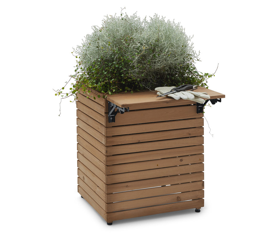 Ein hölzerner Pflanzkasten mit einer silberblättrigen Pflanze darauf, zusammen mit Gartengeräten.