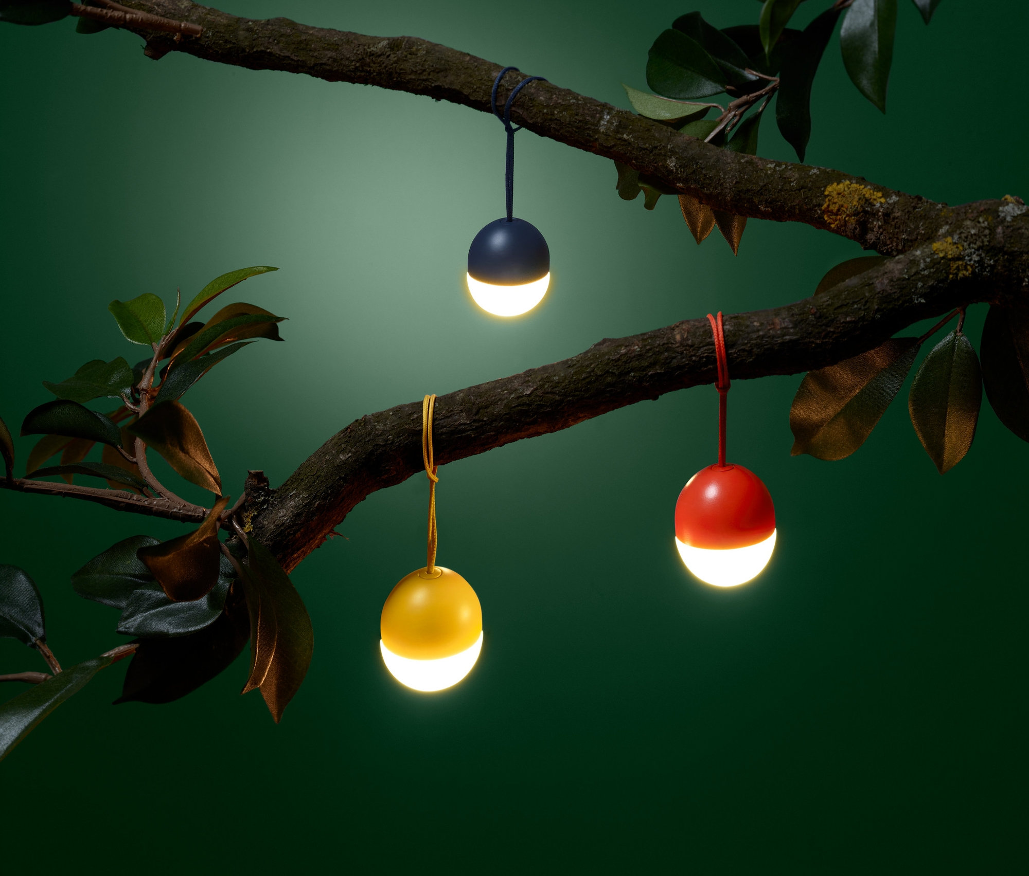 Drei LED-Mini-Lichter hängen an einem Ast.