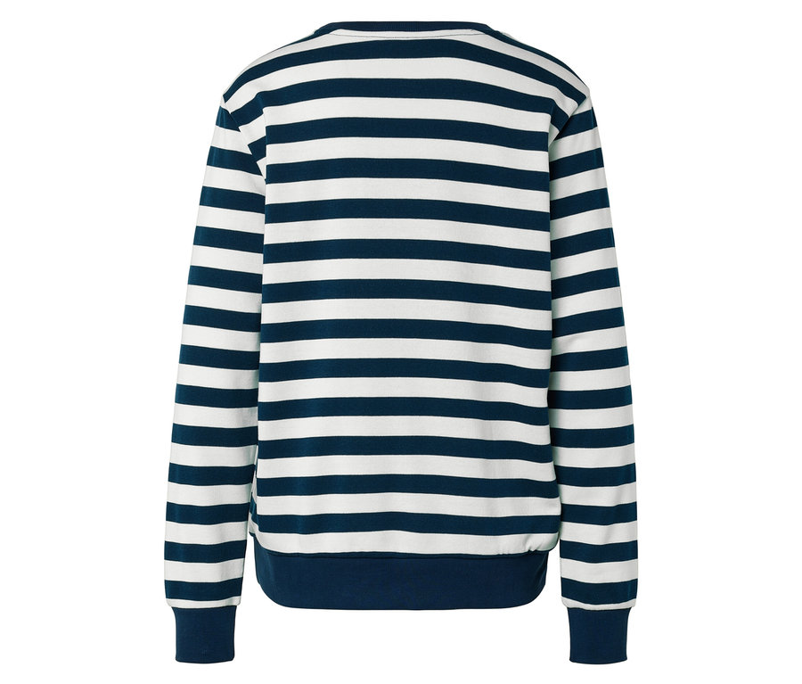 Rückansicht eines blau-weiß gestreiften Langarmshirts.