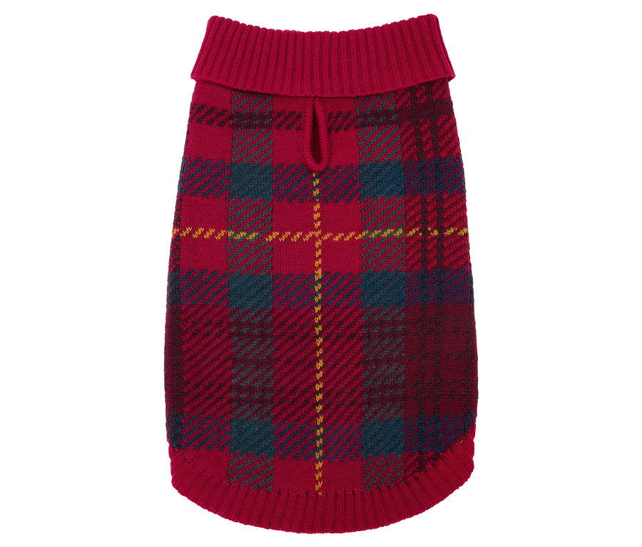 Roter Hundepullover mit Karomuster.
