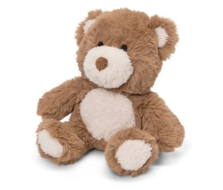 Ein brauner Teddybär sitzt auf einem weißen Hintergrund.