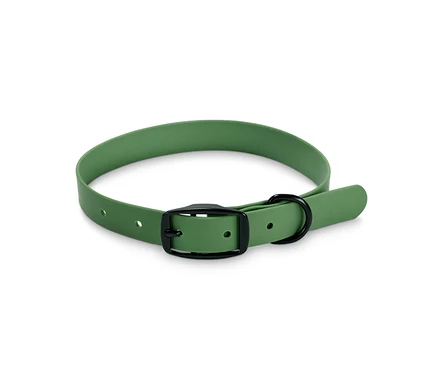 Grünes Hunde-Halsband mit schwarzer Schnalle.