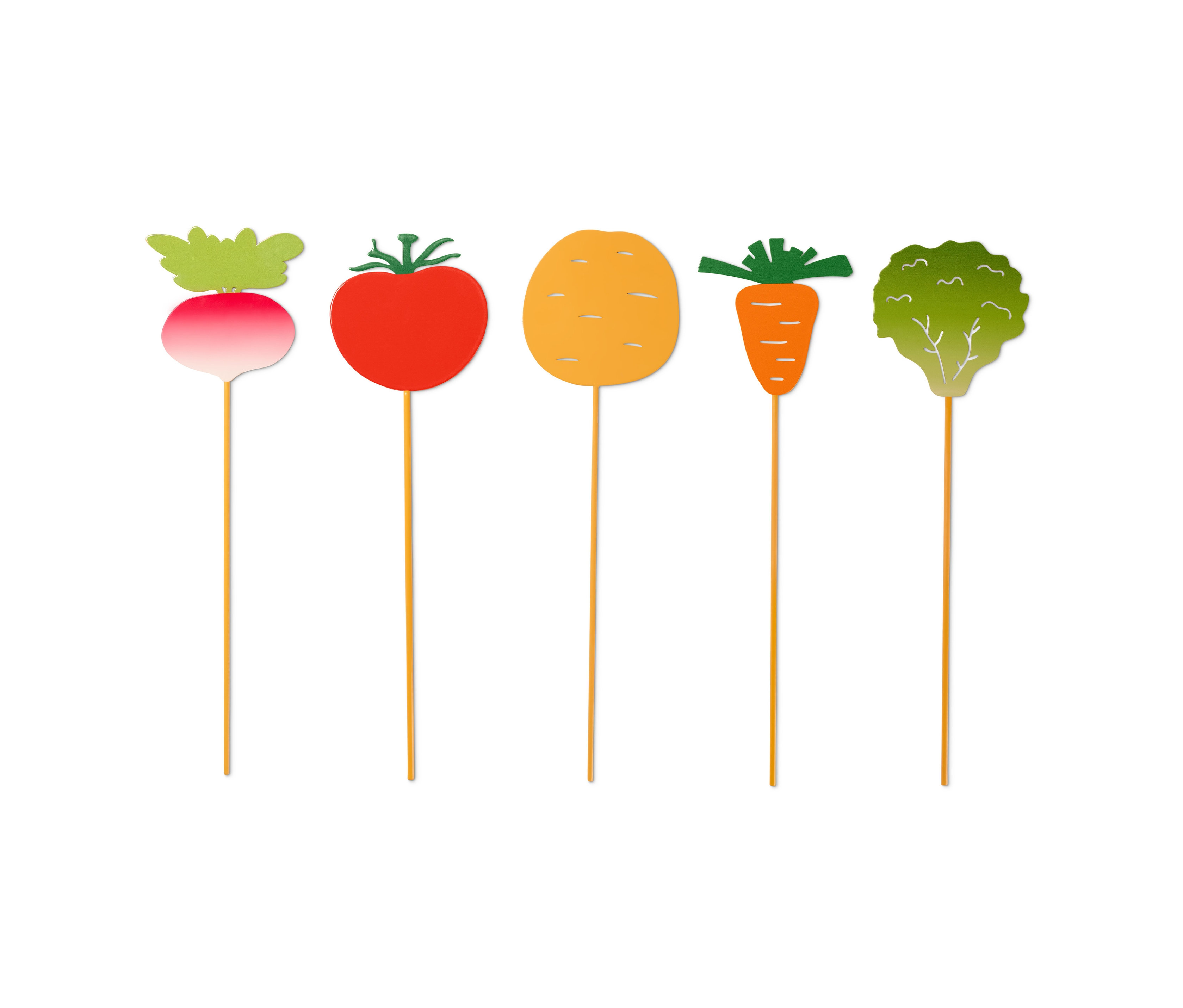 Fünf Beetstecker »Gemüse«: Radieschen, Tomate, Kartoffel, Karotte und Brokkoli.