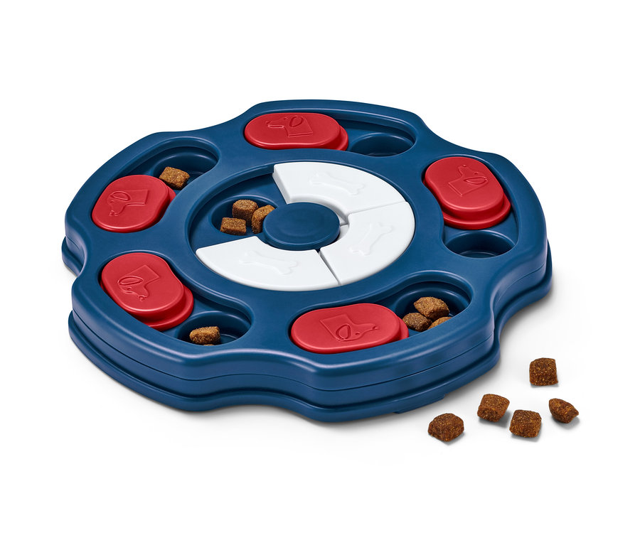 Hunde-Intelligenzspielzeug mit blauem Tablett, roten Schiebern und weißen Knochen, gefüllt mit Leckerlis.