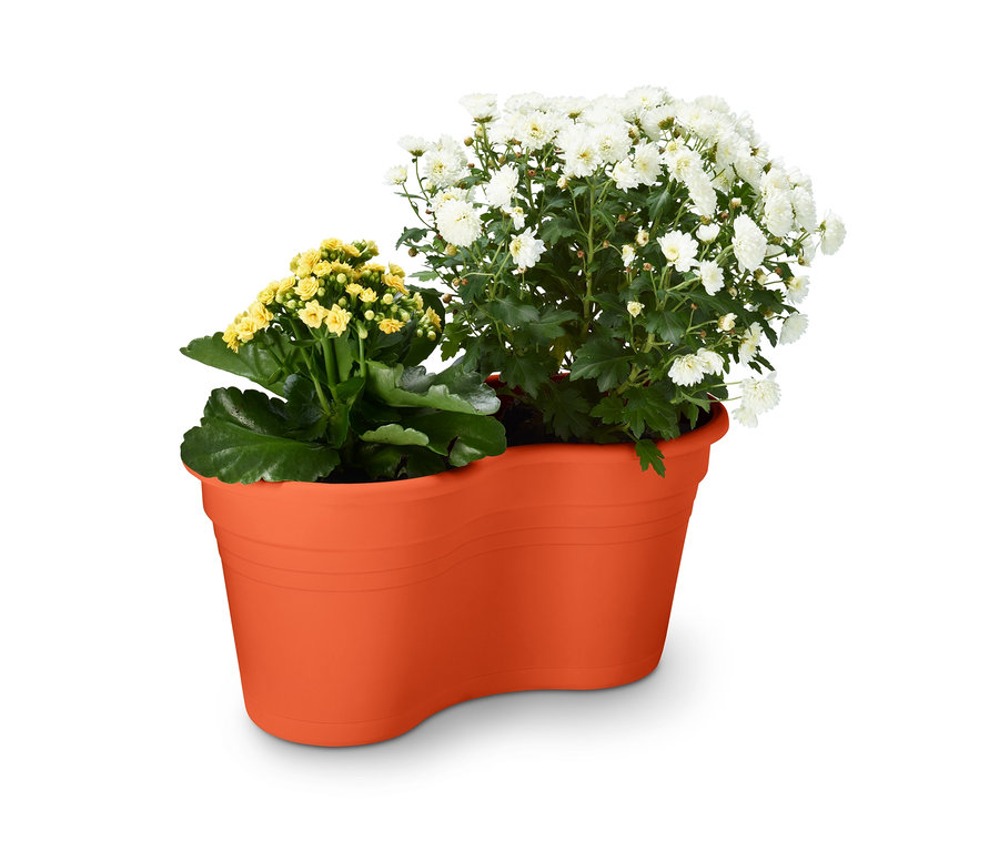 Gelb-weiße Blumen in einem orangefarbenen Doppel-Blumentopf mit Balkonaufhängung.
