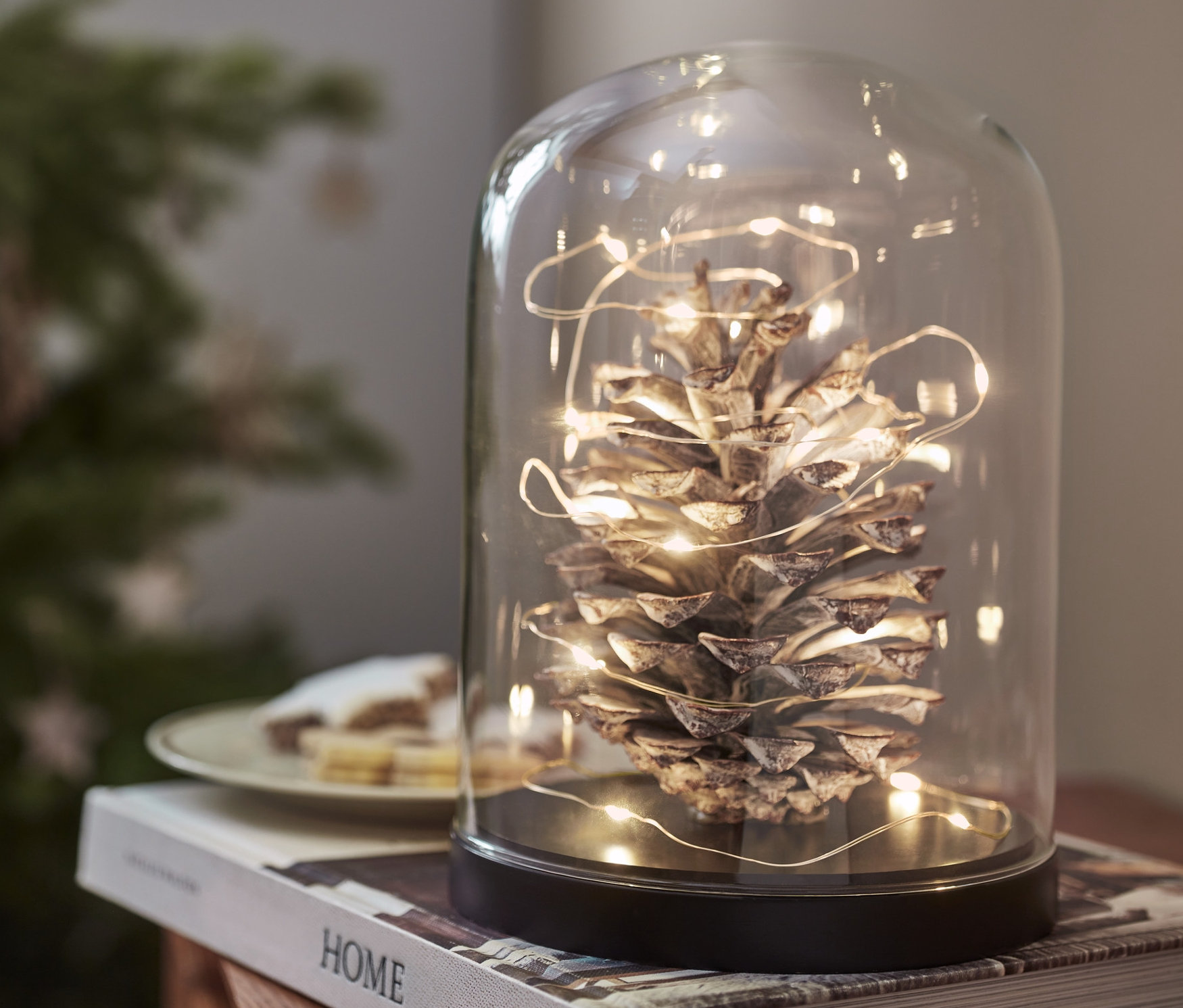 Ein Zapfen unter einer Glasglocke, umwickelt mit einer LED-Micro-Lichterkette »Tropfen«, steht auf einem Buch.