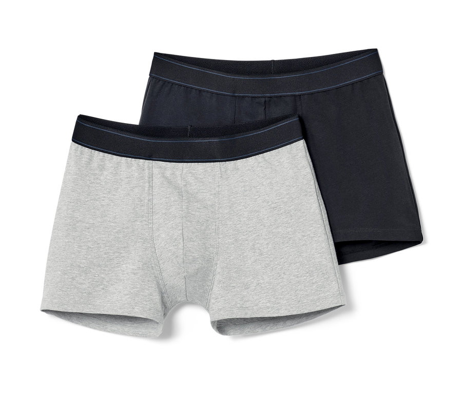 Zwei einfarbige Slipboxer.