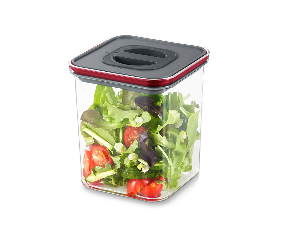 Ein Gemüse Salat in einer 2 Vakuum-Frischhaltedose.