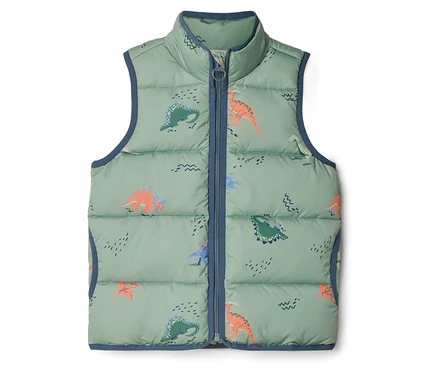 Ärmellose, hellgrüne Steppweste mit blauem Reißverschluss und Dinosaurier-Muster.