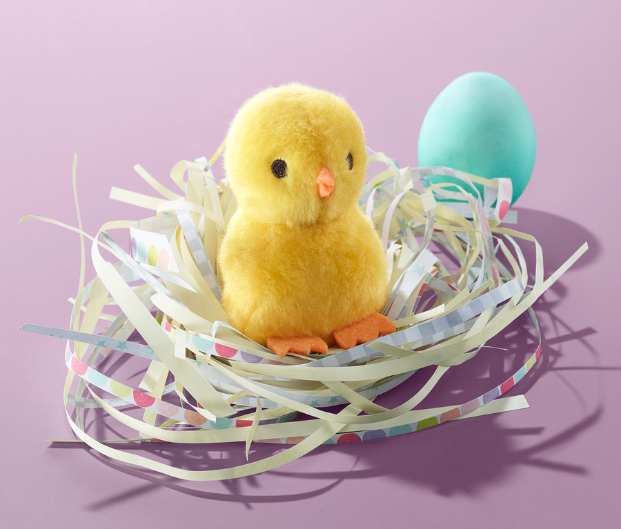 Mini-Plüschküken mit Sound sitzt in einem Nest neben einem blauen Ei.