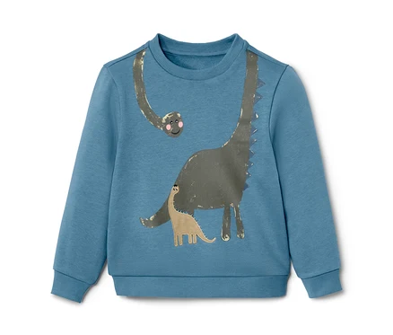 Blauer Kinder-Sweater mit Dino-Applikation.