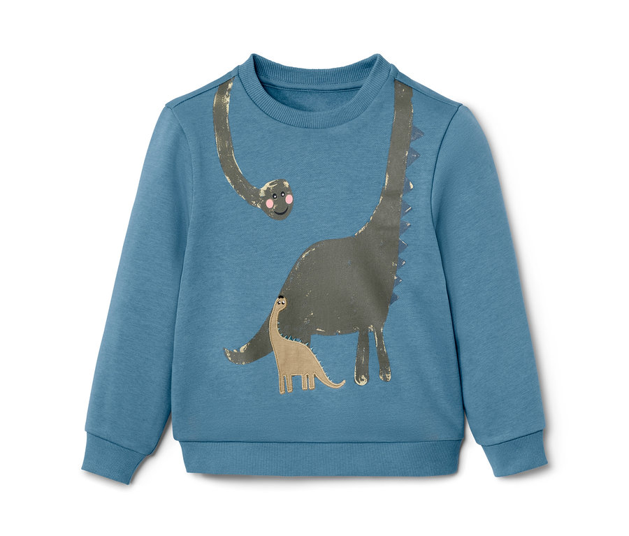 Blauer Kinder-Sweater mit Dino-Applikation.