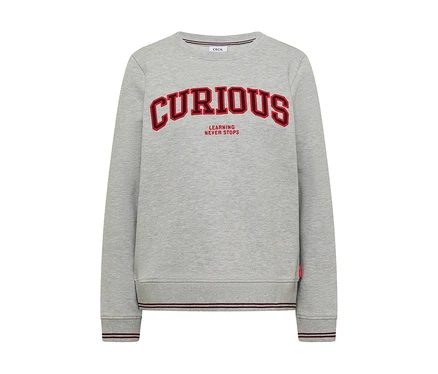 Graues CECIL Sweatshirt mit rotem "CURIOUS LEARNING NEVER STOPS" Schriftzug auf der Vorderseite.