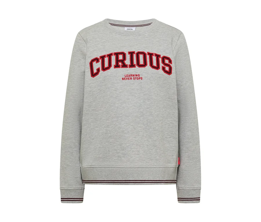 Graues CECIL Sweatshirt mit rotem "CURIOUS LEARNING NEVER STOPS" Schriftzug auf der Vorderseite.