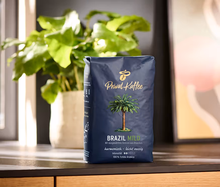 Eine 500g Packung Privat Kaffee Brazil Mild Ganze Bohne steht auf einer Holzoberfläche. Im Hintergrund befinden sich eine Pflanze im Topf und ein abstraktes Gemälde.
