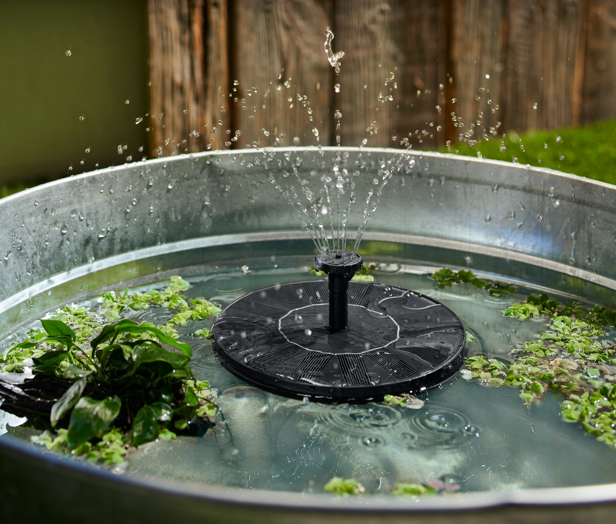 Ein schwimmender Solar-Springbrunnen sprüht Wasser in einem Metalleimer mit Pflanzen.