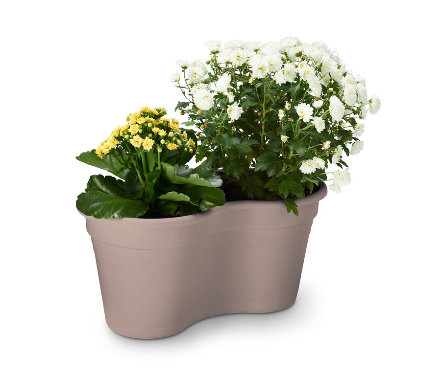 Gelbe und weiße Blumen in einem Doppel-Blumentopf mit Balkonaufhängung.