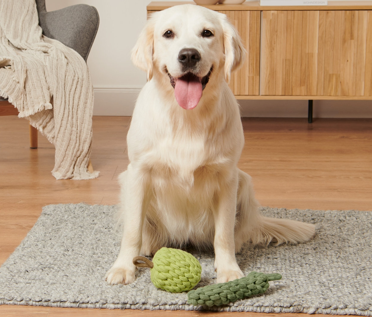 Golden Retriever sitzt auf einem Teppich neben einem Apfel-Zucchini Hundespielzeug.