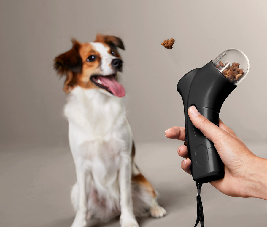 Hand, die einen schwarzen Haustier-Snackdispenser hält und einen Snack auf einen Hund abschießt.