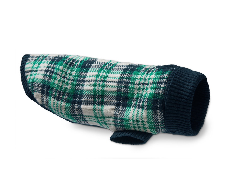 Ein Hunde-Pullover mit grünem, weißem und marineblauem Karomuster.