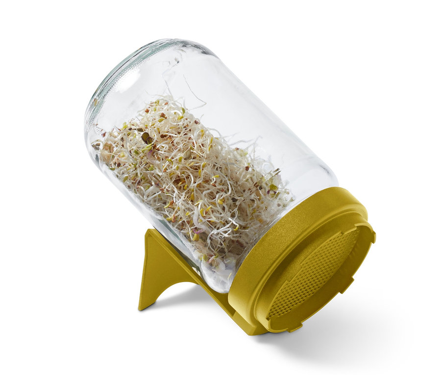 Microgreens im Glas, inkl. Samen.